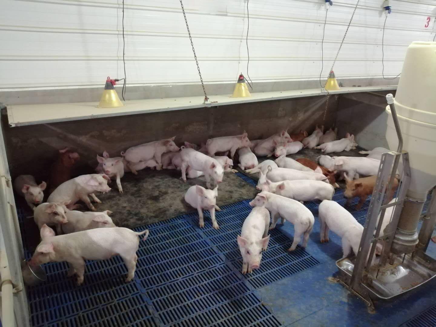 保温垫使用图1.jpg 保温垫使用图1.jpg